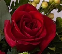 Additional Roses